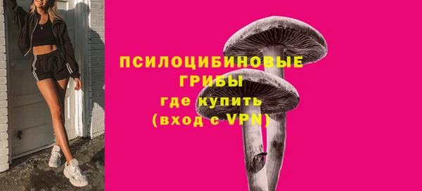 мяу мяу мука Елабуга