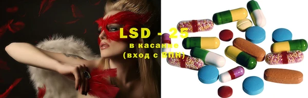 стафф Алексин