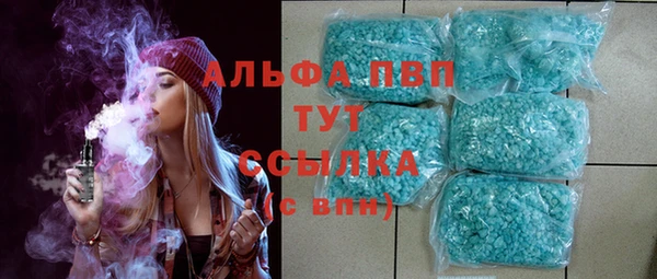 стафф Алексин