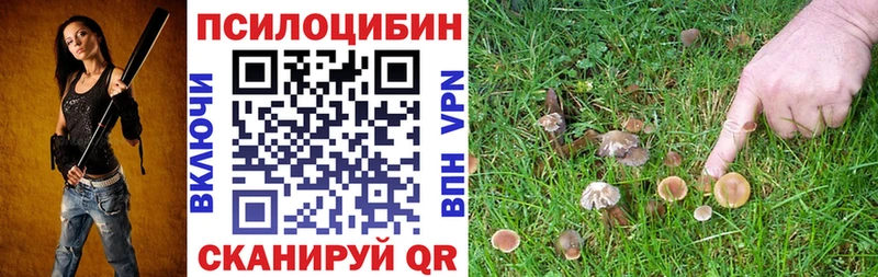 Галлюциногенные грибы Psilocybine cubensis Беслан